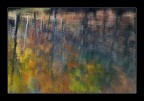 impressioni d, autunno impressioni d, autunno