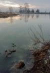 The gloomy river The gloomy river