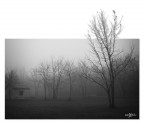 Parco d'inverno BW Parco d'inverno BW