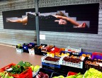 Il frutto proibito Il frutto proibito