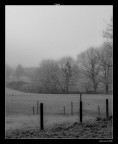 Gennaio.... Gennaio....