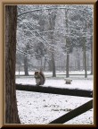 brrr...che freddo brrr...che freddo