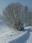 Luogo di ritrovo Luogo di ritrovo