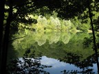 Arboretum Arboretum