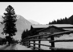 passeggiata invernale passeggiata invernale