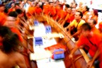 Festeggiamenti per il Palio del Golfo di La Spezia.
Se vuoi vedere la serie visita il mio sito http://alessandrocorio.altervista.org