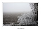 Il mio mondo... in bianco Il mio mondo... in bianco