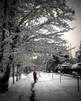 walkin' 'n the snow walkin' 'n the snow