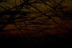 Il Tramonto Morto Il Tramonto Morto