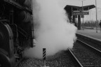 Il vecchio treno a vapore Il vecchio treno a vapore