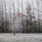 Nebbia e neve a Viadana, 2009 Nebbia e neve a Viadana, 2009