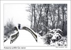 Amarsi sotto la neve Amarsi sotto la neve