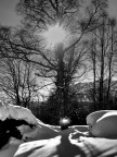 neve