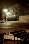 Carpi_Gelo_1 Carpi_Gelo_1