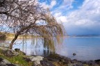 Lago Bolsena Lago Bolsena