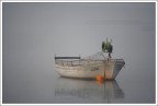 Nella nebbia invernale Nella nebbia invernale