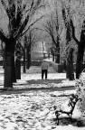 Ascoltando il silenzio Ascoltando il silenzio