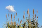 Ma che bella giornata di sole!!! Ma che bella giornata di sole!!!