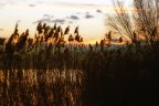 Canneto al tramonto Canneto al tramonto