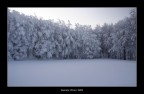 neve..neve..neve.. neve..neve..neve..