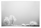 Freddo e nebbia Freddo e nebbia