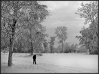 ...  passeggiata al gelo ...
