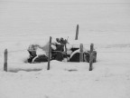Nevicata ad Asiago Nevicata ad Asiago