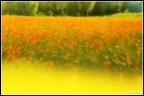 Mareggiata Primaverile Mareggiata Primaverile