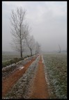 da questa strada prima o poi arriverą la primavera... da questa strada prima o poi arriverą la primavera...