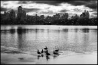 Central Park - NYC Central Park - NYC