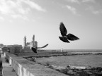 Trani, Cattedrale Trani, Cattedrale