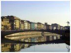 Pisa mattutina Pisa mattutina