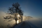Alba sul fiume Alba sul fiume