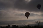 volo silenzioso volo silenzioso