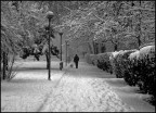 desolazione desolazione