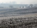 Colline, neve e nebbia