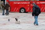 inseguimento inseguimento