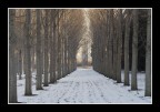allineati e coperti allineati e coperti