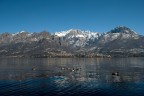 Quel ramo del lago...... Quel ramo del lago......