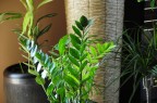 natura in home natura in home