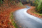 curve sinuose.....fianchi di donna curve sinuose.....fianchi di donna
