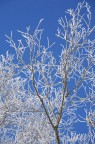 Bianco Bianco