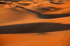 Dune Dune