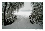 Parco Groane - Bollate Parco Groane - Bollate