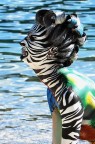 Animal Soul Animal Soul