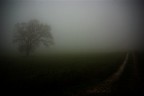 nella nebbia nella nebbia