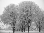 in bianco in bianco