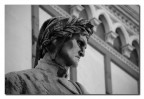 lo sguardo di Dante...