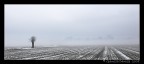 La Nebbia avanza La Nebbia avanza