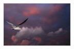 volo via volo via